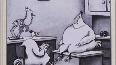 Think You Don't Like The Far Side? These 10 Comics Might Change Your Mind