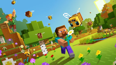 Microsoft Gaming VP Kayleen Walters appointed head of Mojang